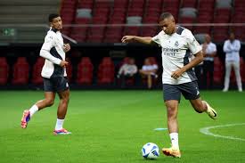 奠定了坚实 奠定了坚实